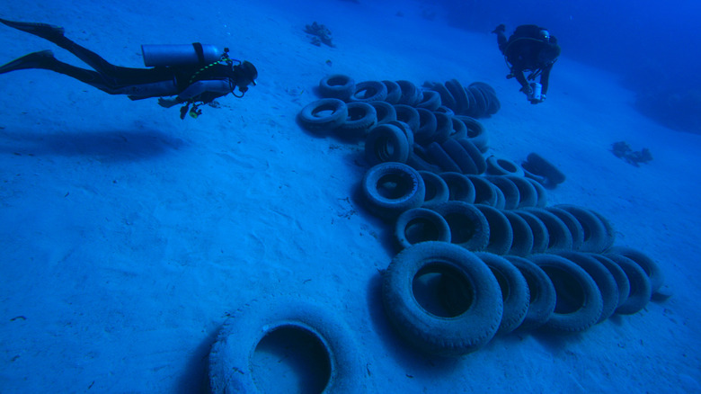 A series of vehicle tires on the sea floor as divers and scientists attempt a cleanup