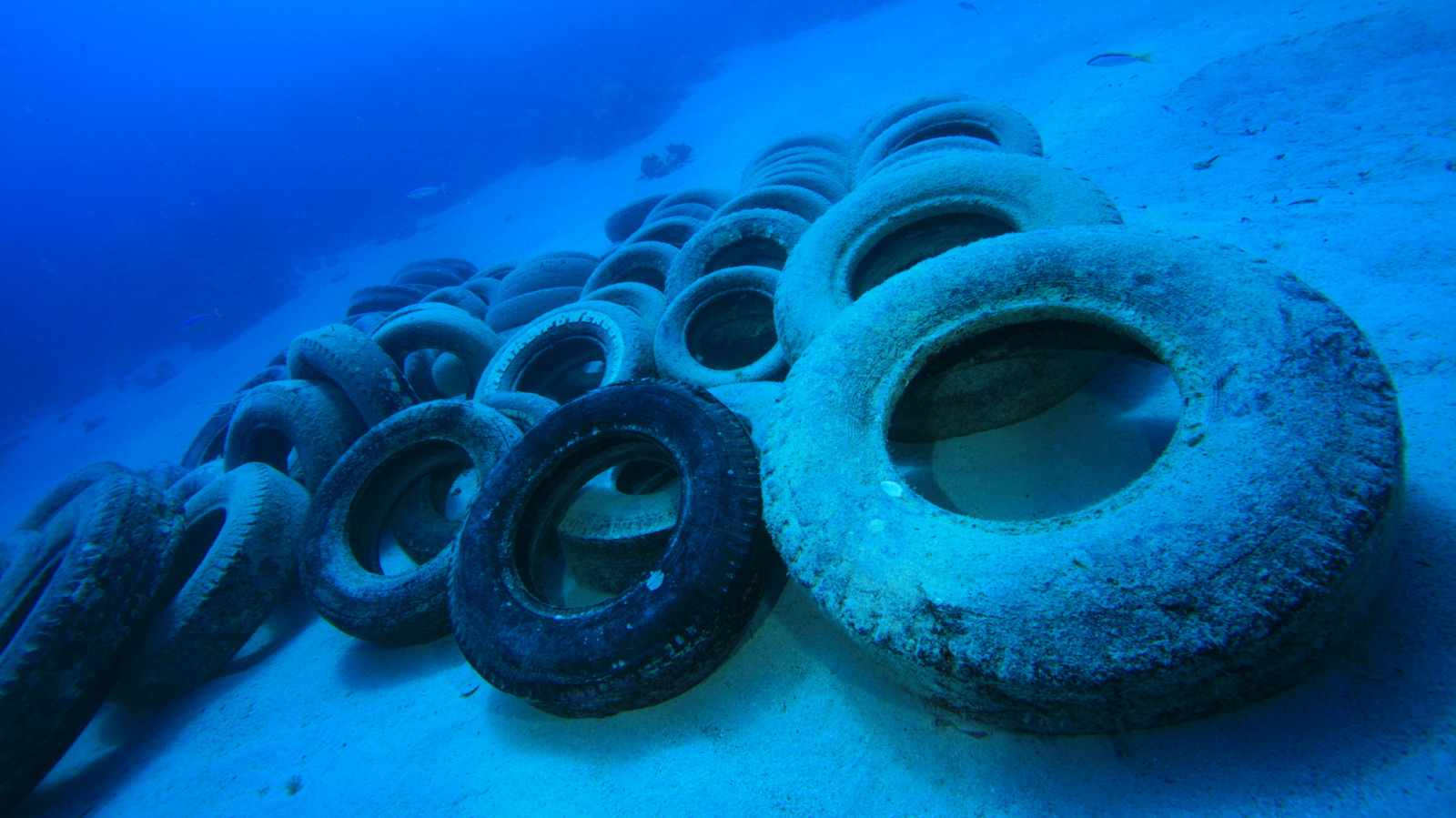 W latach 70. zatopiono 2 mln opon u wybrzeży Florydy – miały pomóc oceanowi