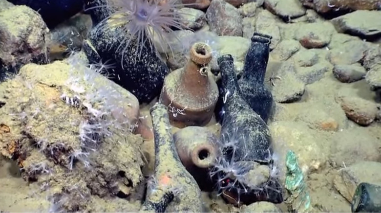 Bottles from the Monterrey C shipwreck on the sea floor
