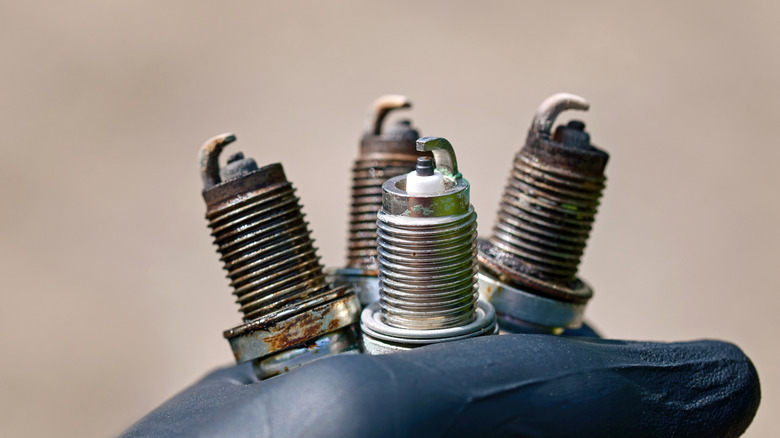 A mechanic holding three used spark plugs and a new one for comparison