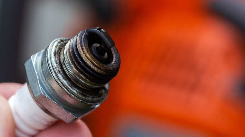 A wet spark plug from a chainsaw