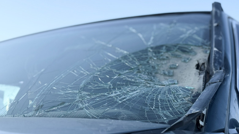A close-up of a car windshield severely cracked.
