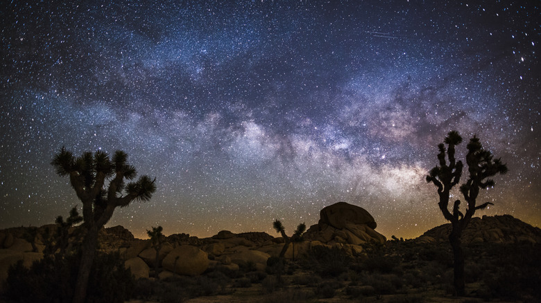 Desert landscape at night with Milky Way. Joshua tree national park in California, USA.
