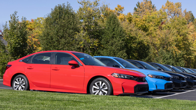 Honda Civics in a parking lot