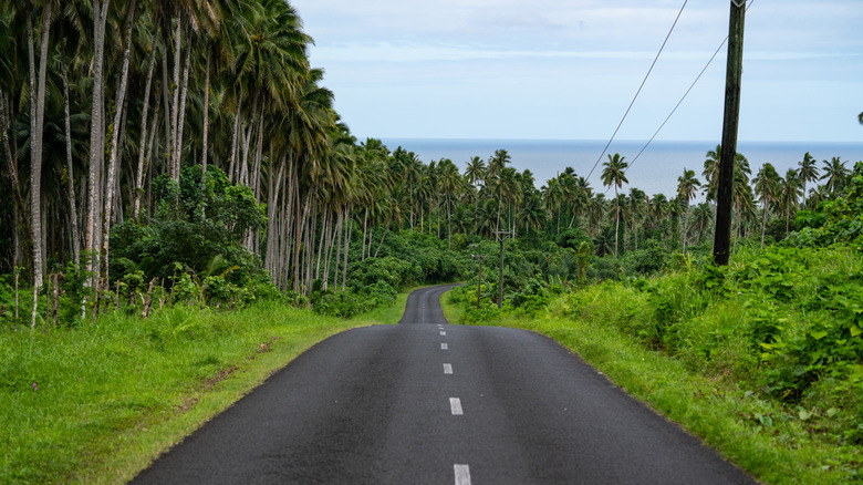 An empty two-lane road on the island of Samoa.
