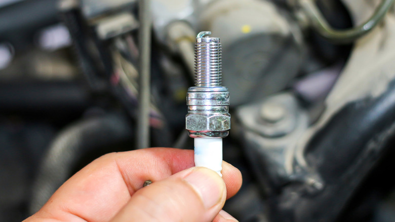 Person holding a spark plug