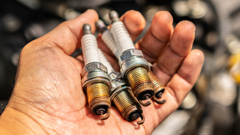 Man holding the worn-out spark plugs of a four-cylinder engine.