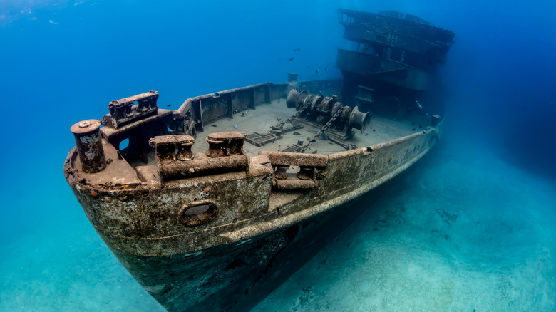 A decommissioned Navy vessel the USS Kittiwake acting as an artificial reef