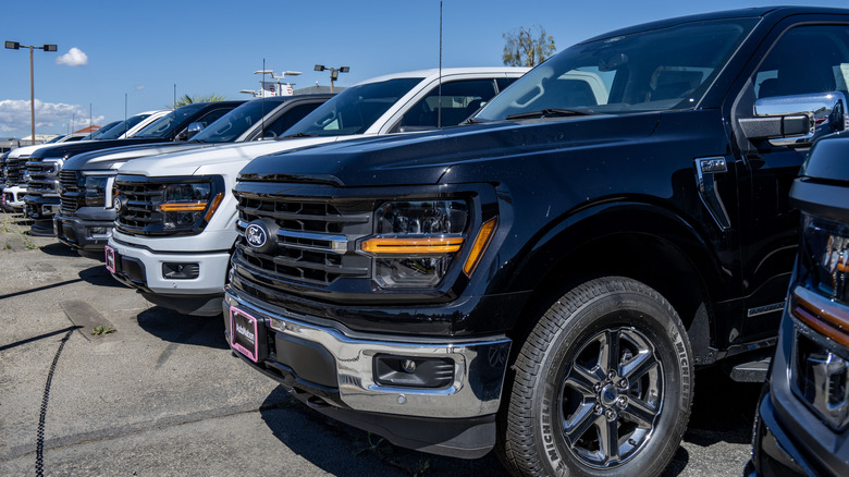 Ford trucks lined up on a dealership lot