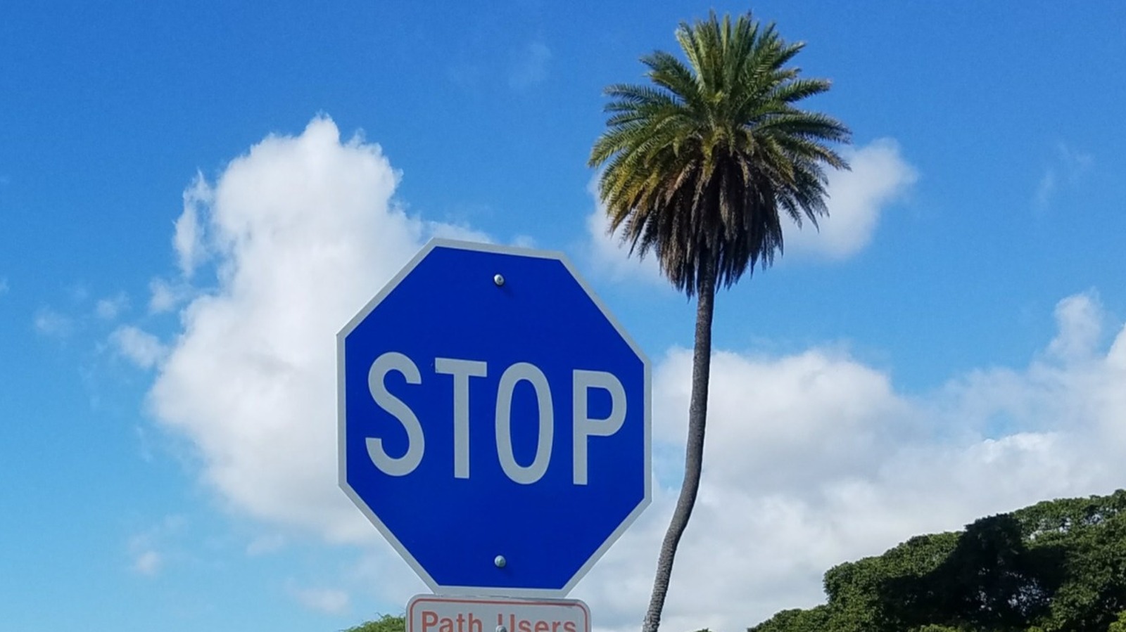 Why Hawaii Has Blue Stop Signs