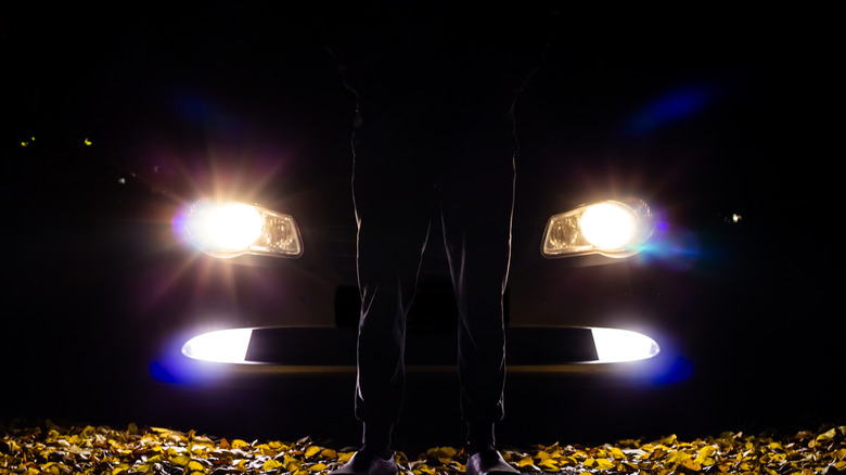 A person standing on leaves in the dark silhouetted against the bright headlights of a car at night