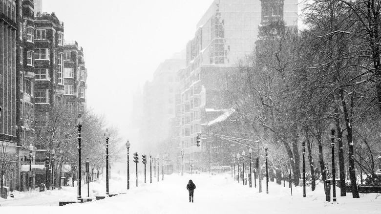 A single pedestrian in the middle of a desolate Boston street during an intense winter blizzard.