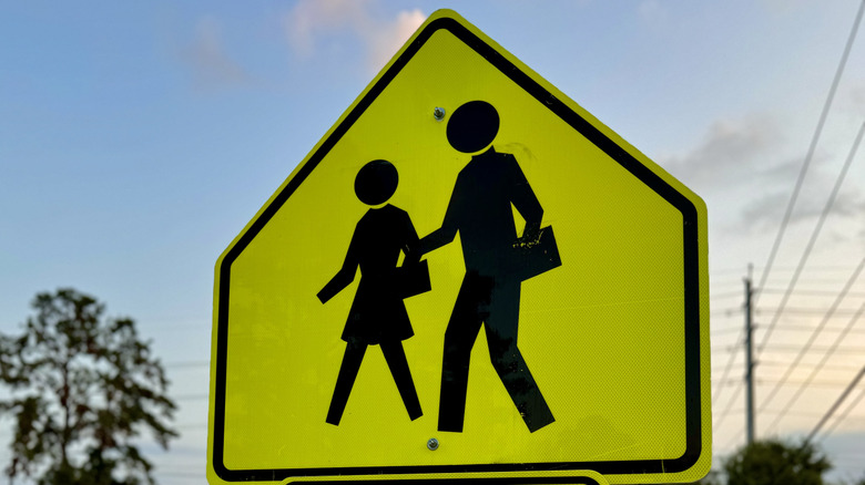 A closeup shot shows the widely recognized school zone sign