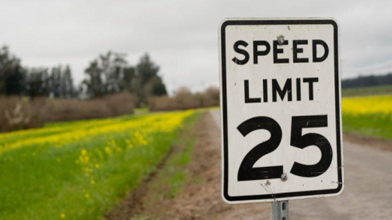 A 25 mph speed limit on a country road