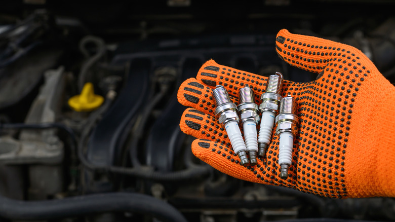 A mechanic holding new spark plugs over a car's engine bay