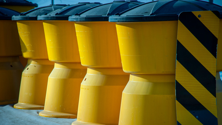 A formation of yellow Fitch barriers