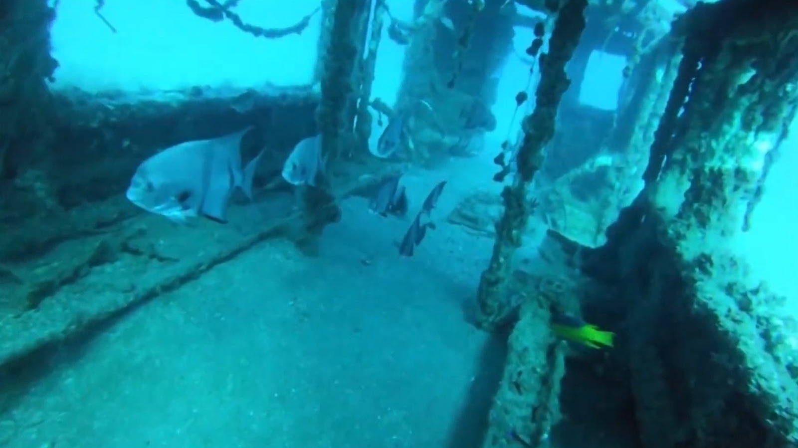 Why You Can Sink A Subway Car To Make A Reef, But Probably Not An Automobile