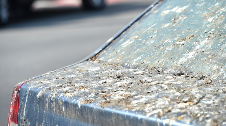 A car totally covered in bird droppings.