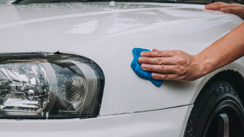 Man cleaning white paint with a clay bar