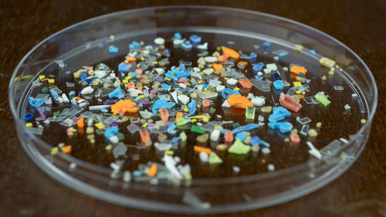A clear petri dish containing colorful bits of plastic