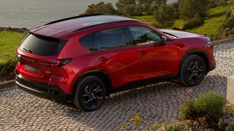 A rear three-quarters shot of a red CX-5 parked on brick in front of a view of grass trees and a body of water