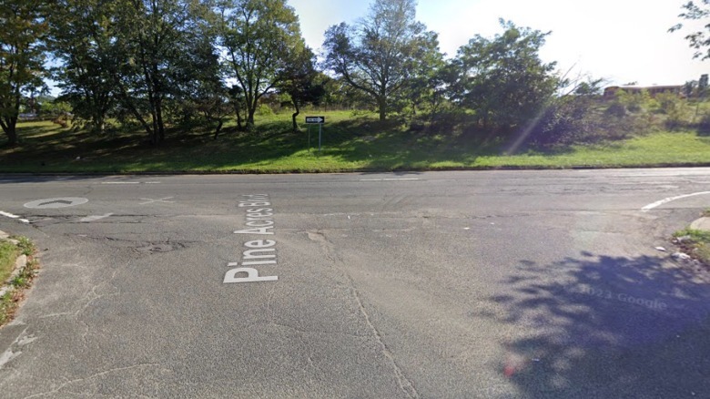 Pine Acres Boulevard at the Sunrise Highway service road