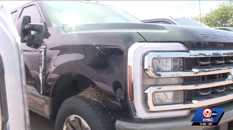 Bird news on a Ford F-250