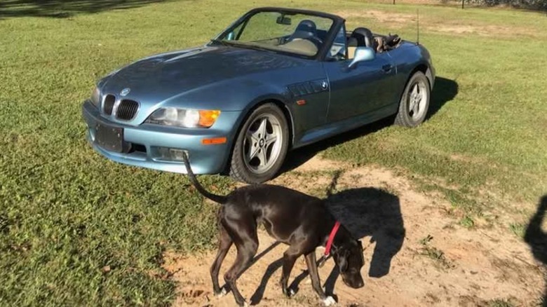 Front 3/4 view of a blue BMW Z3 and a dog