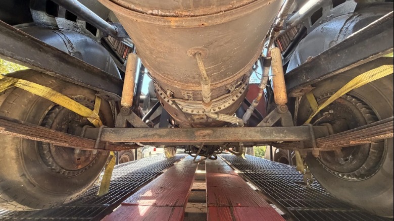 The underside of Krispy Kritter