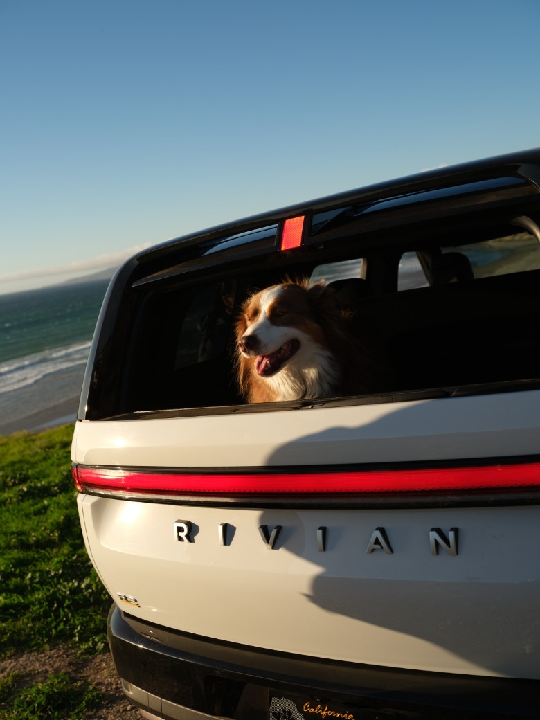 Dog in the rear window of a white Rivian R2