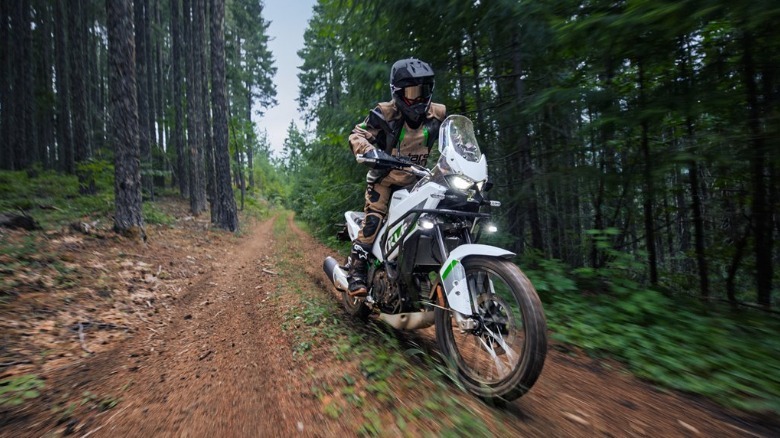 Kawasaki KLE500 on a double track trail through a pine forest